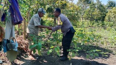 Sinergi Polisi dan Petani Lombok Barat Optimalkan Lahan Hortikultura Desa