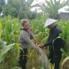 Polsek Batulayar Dorong Warga Sandik Budidaya Hortikultura di Lahan Kosong