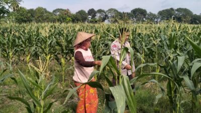 Bukan Patroli Biasa, Cara Bhabinkamtibmas Bagik Polak Kawal Ketahanan Pangan Ini Tuai Pujian
