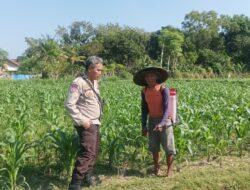 Polsek Batulayar Dorong Swasembada Pangan Nasional dari Desa