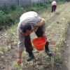 Polsek Labuapi Dorong Petani Lombok Barat Optimalkan Lahan Hortikultura