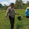 Bhabinkamtibmas Merembu Dorong Warga Perkuat Ketahanan Pangan