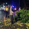 Pohon Tumbang di Senggigi, Polsek Batulayar Gerak Cepat Bersihkan Jalan