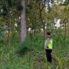 Polri Dukung Astacita, Polsek Rengel Polres Tuban Turun Cek Tanaman Jagung Warga di Desa Rengel