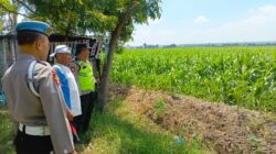 Polri Dukung Astacita, Polsek Rengel Polres Tuban Turun Cek Tanaman Jagung Warga di Desa Maibit