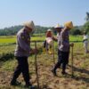 Perkuat Ketahanan Pangan, Brigpol Dian Wahono Bersama Warga Ngujuran Tanam Jagung Bersama