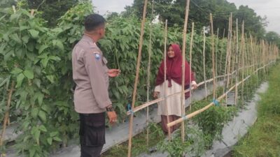 Cara Bhabinkamtibmas Polsek Labuapi Sukseskan Ketahanan Pangan Desa