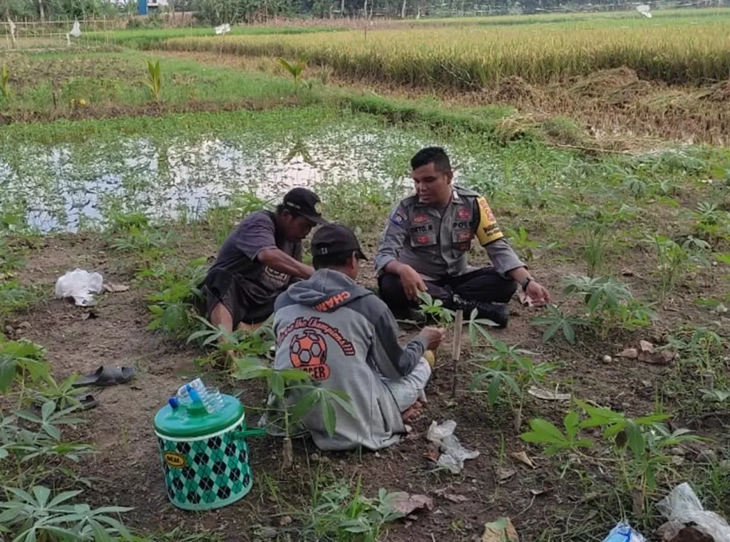 Polri Dampingi Petani Kuranji Dalang Perkuat Ketahanan Pangan Desa