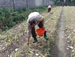 Polri Perkuat Pendampingan Pertanian Berkelanjutan di Lombok Barat