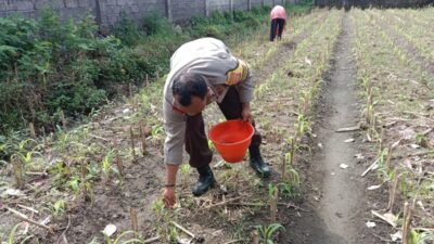 Polri Perkuat Pendampingan Pertanian Berkelanjutan di Lombok Barat