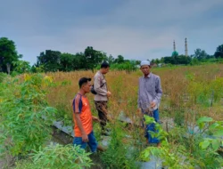 Pekarangan Bergizi: Strategi Bhabinkamtibmas Perampuan Perkuat Pangan