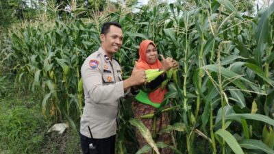 Polri dan Petani di Lombok Barat Perkuat Ketahanan Pangan