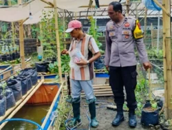 Langkah Nyata Polsek Labuapi Ubah Pekarangan Warga Jadi Sumber Pangan Mandiri
