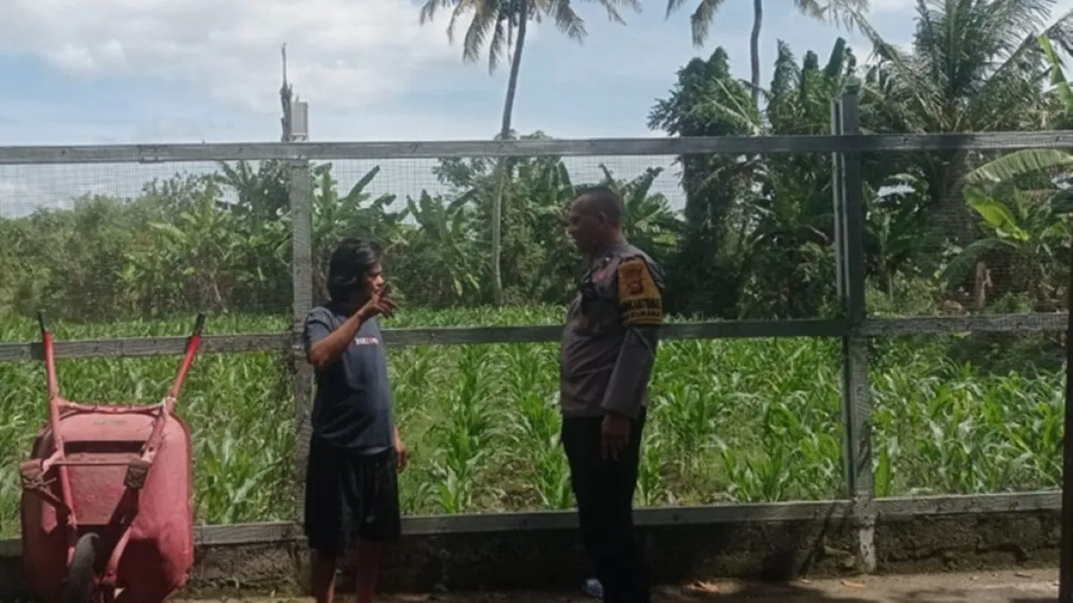 Polsek Labuapi Dorong Diversifikasi Pangan di Desa Kuranji