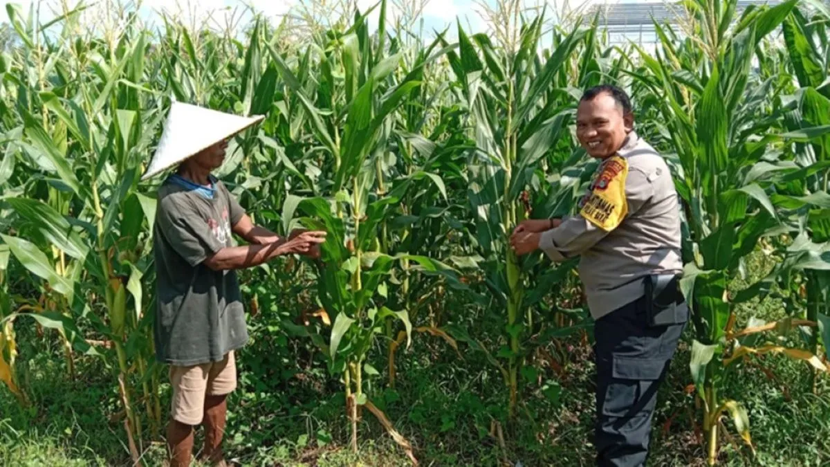 Rahasia Ketahanan Pangan Desa Bagik Polak Pendampingan Intensif Polri Hingga ke Pelosok