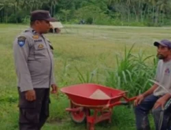 Dukung Ketahanan Pangan Nasional, Bhabinkamtibmas Giri Tembesi Dampingi Petani Lokal