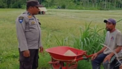 Dukung Ketahanan Pangan Nasional, Bhabinkamtibmas Giri Tembesi Dampingi Petani Lokal