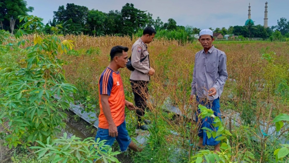 Polres Lombok Barat Dorong Diversifikasi Pangan, Warga Desa Perampuan Jaga Stabilitas Ekonomi Lewat Pertanian Terpadu