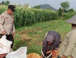 Polres Lombok Barat Kawal Swasembada Pangan di Karang Bongkot