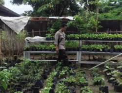 Bhabinkamtibmas Desa Bengkel Kawal Program Pekarangan Bergizi