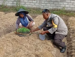 Polri Dampingi Petani Desa Merembu Wujudkan Swasembada Pangan