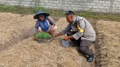 Polri Dampingi Petani Desa Merembu Wujudkan Swasembada Pangan