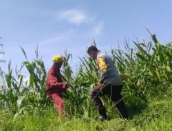 Kemandirian Pangan dari Desa, Aksi Nyata Personel Polsek Labuapi Motivasi Petani Maksimalkan Lahan
