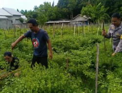 Polsek Labuapi Perkuat Ketahanan Pangan di Desa Perampuan