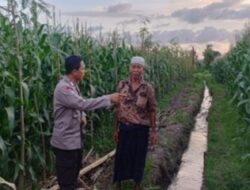 Sinergi Polri dan Warga Gerung: Mengoptimalkan Potensi Lokal untuk Menjaga Ketahanan Pangan Nasional