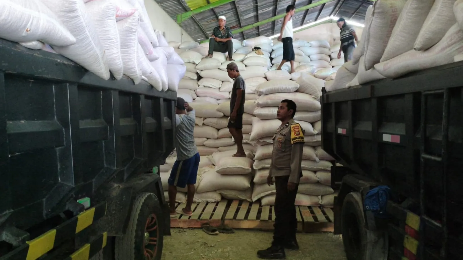 Sinergi Kuat Polri dan Petani di Lembar: Pastikan Belasan Ton Jagung Diserap Bulog Tanpa Hambatan