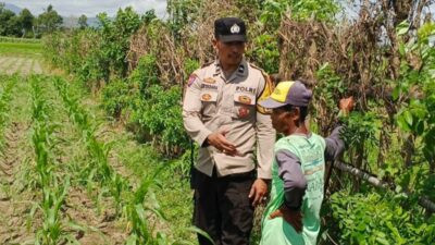 Perkuat Kedaulatan Pangan, Polsek Labuapi Dampingi Petani Optimalkan Lahan Pekarangan Warga
