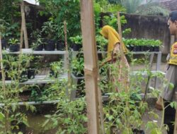 Inovasi Pangan Desa Bengkel: Bhabinkamtibmas Labuapi Sulap Pekarangan Warga Jadi Sumber Nutrisi Keluarga