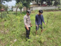 Bhabinkamtibmas Desa Paokmotong Monitoring Program Ketahanan Pangan melalui P2B