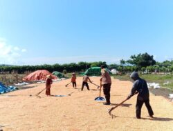 Polri Hadir di Tengah Petani, Dorong Produktivitas Jagung di Dompu