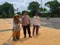 Sinergi Polisi dan Petani, Ketahanan Pangan Diperkuat di Dompu