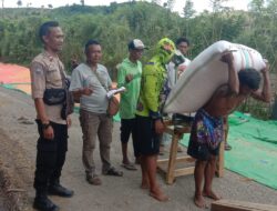 Bhabinkamtibmas Desa Rababaka Pantau Panen Jagung, Dukung Ketahanan Pangan Nasional