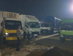 Update Pengiriman Sapi di Pelabuhan Lembar Lombok Barat