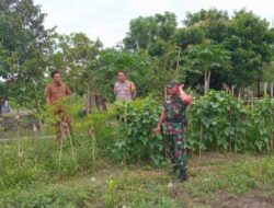 Bhabinkamtibmas dan Babinsa Labuapi Komit Jaga Pangan Desa