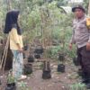 Personel Polri di Labuapi Ajarkan Warga Dusun Jogot Cara Cerdas Wujudkan Swasembada Pangan dari Rumah