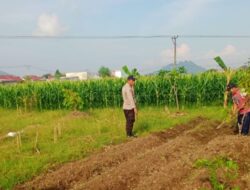 Langkah Strategis Polsek Labuapi Optimalkan Lahan Tidur demi Perkuat Ketahanan Pangan Nasional dari Desa