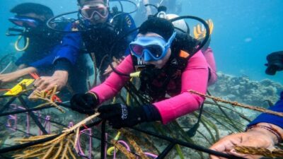 Bhayangkari NTB Gelar Penanaman Terumbu Karang di Hari Bumi