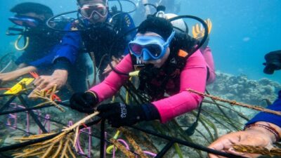 Jaga Kelestarian Ekosistem Laut, Ketua Bhayangkari Daerah NTB Tanam Terumbu Karang di Gili Sudak