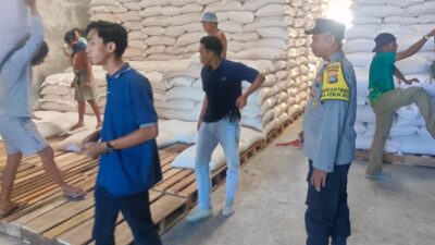 Kadar Air Sempurna! Puluhan Ton Jagung Lombok Barat Resmi Masuk Gudang Bulog dengan Pengawalan Polri