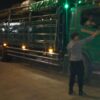 Polisi Pastikan Jalur Logistik Ternak di Pelabuhan Lembar Kondusif, Ratusan Truk Sapi Sudah Menyeberang
