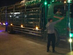 Polisi Pastikan Jalur Logistik Ternak di Pelabuhan Lembar Kondusif, Ratusan Truk Sapi Sudah Menyeberang