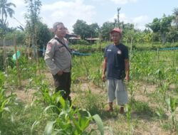 Mengintip Sinergi Humanis Polres Lombok Barat dalam Mengawal Ketahanan Pangan dari Desa