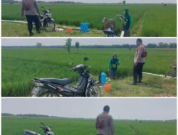 Polsek Soko polres Tuban Polda Jawa Timur Bergerak! Dukung Penuh Swasembada Pangan Presiden Prabowo Melalui Pendampingan Petani