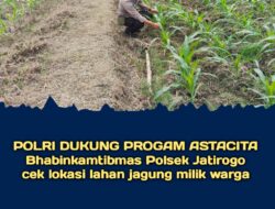 Polsek Jatirogo Pantau Ladang Jagung Warga Desa Bader , Wujud Nyata Dukung Astacita