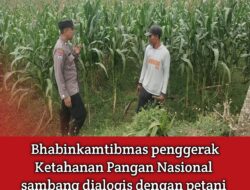 Dukung Astacita, Polsek Jatirogo Polres Tuban Pantau Langsung Lahan Jagung dan dialogis dengan petani Desa Sidomulyo