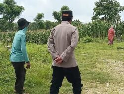 Polri Dukung Astacita, Polsek Semanding Polres Tuban Turun Cek Tanaman jagung milik Warga di Desa Semanding